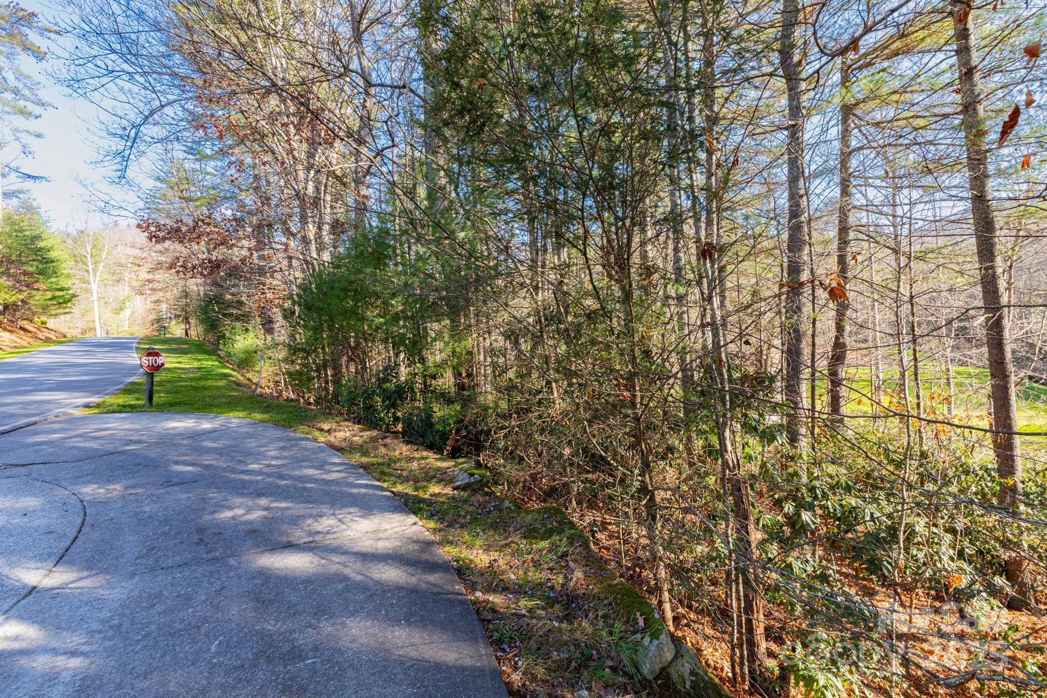 139 Chattooga Run Hendersonville NC 28739