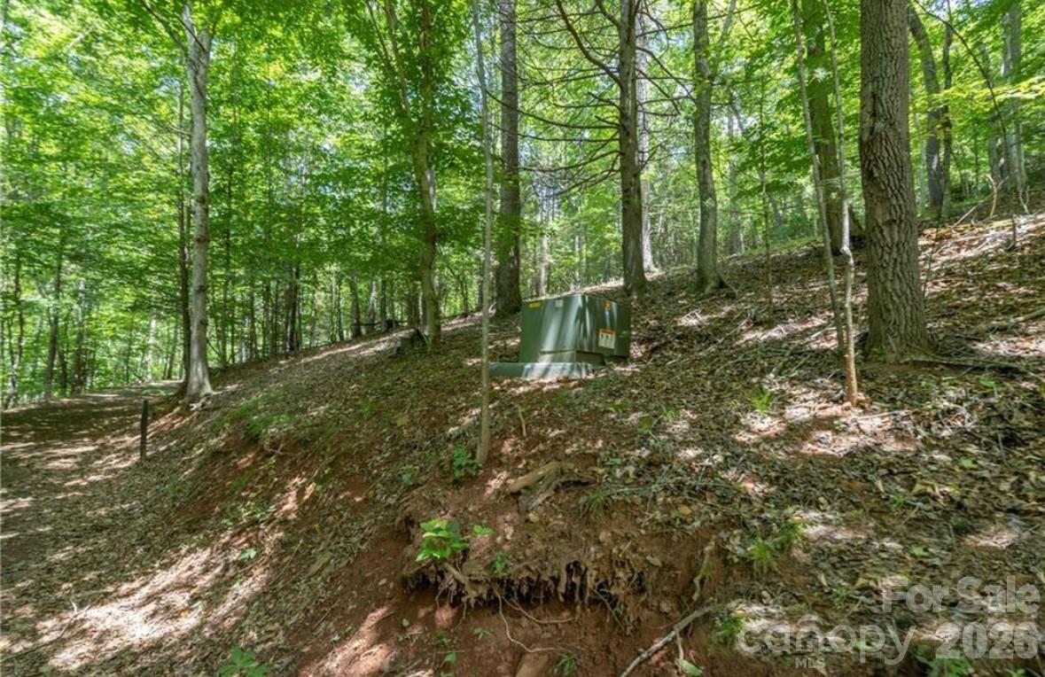 00 Rabbit Hop Road Spruce Pine NC 28777