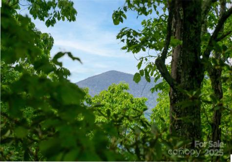 1111 Elm Tree Lane Swannanoa NC 28778