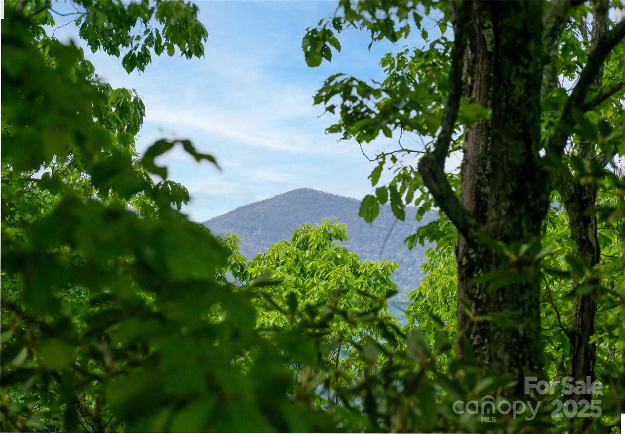 1111 Elm Tree Lane Swannanoa NC 28778