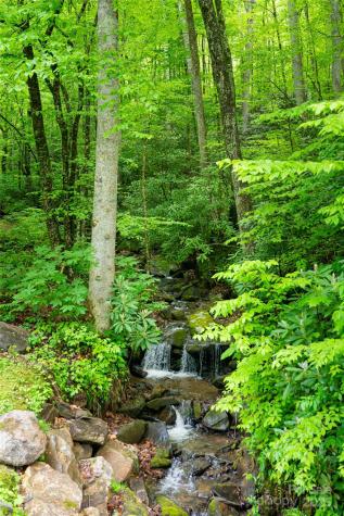 1111 Elm Tree Lane Swannanoa NC 28778