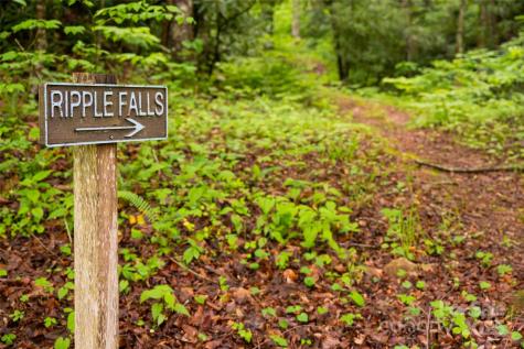 1111 Elm Tree Lane Swannanoa NC 28778