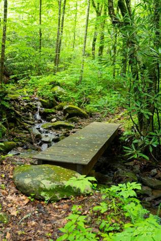 1111 Elm Tree Lane Swannanoa NC 28778