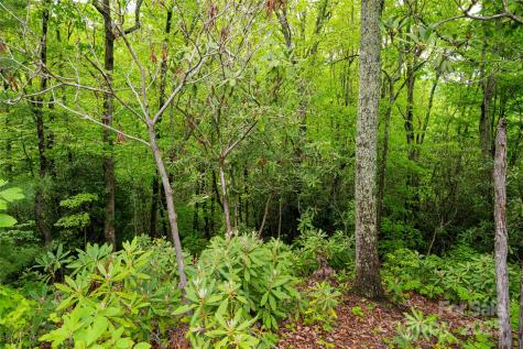 1111 Elm Tree Lane Swannanoa NC 28778