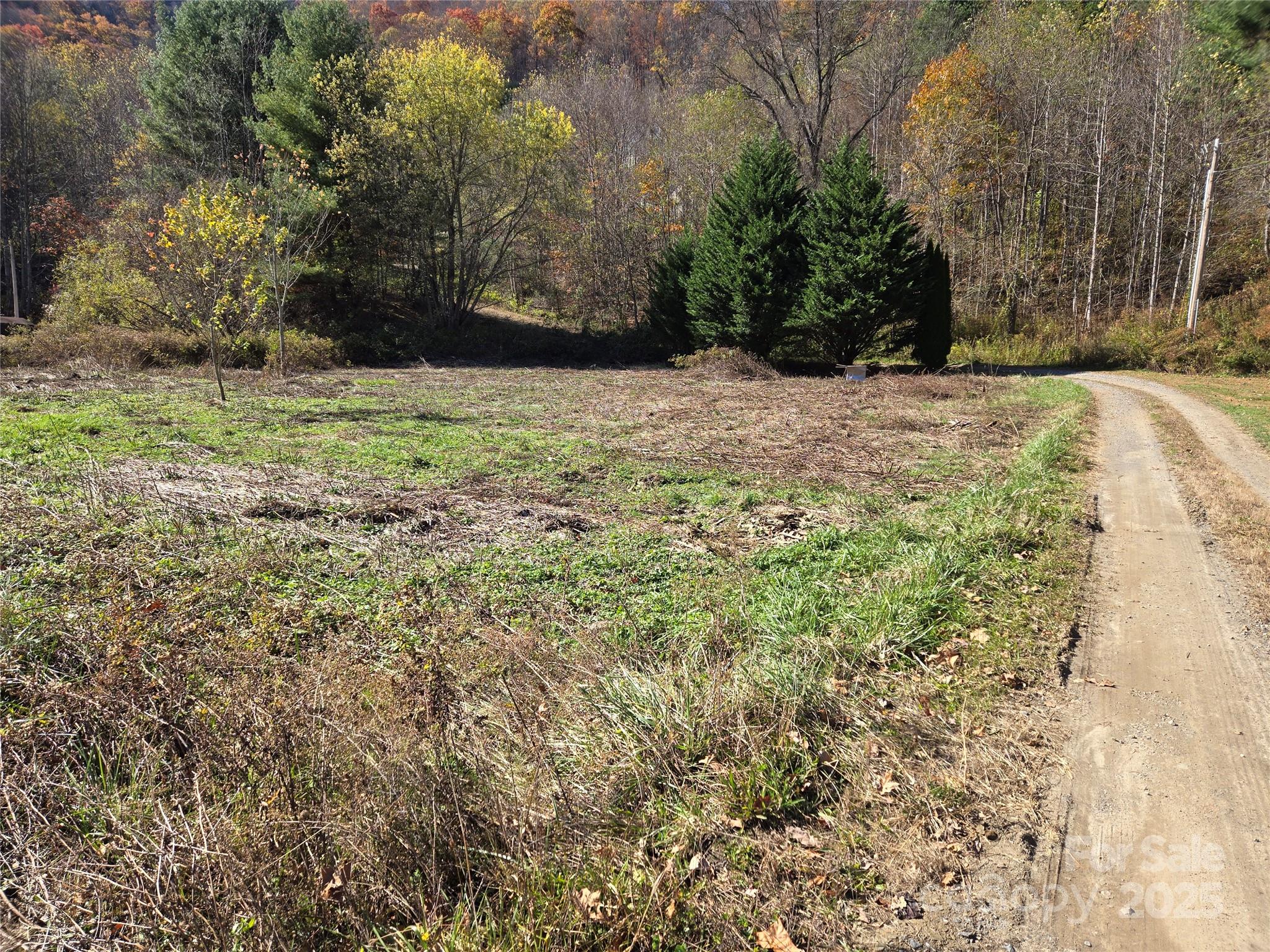 00 Eagles Trace Canton NC 28716