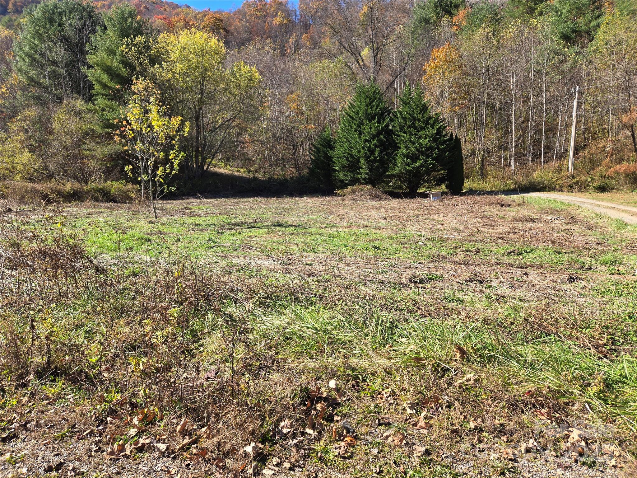 00 Eagles Trace Canton NC 28716
