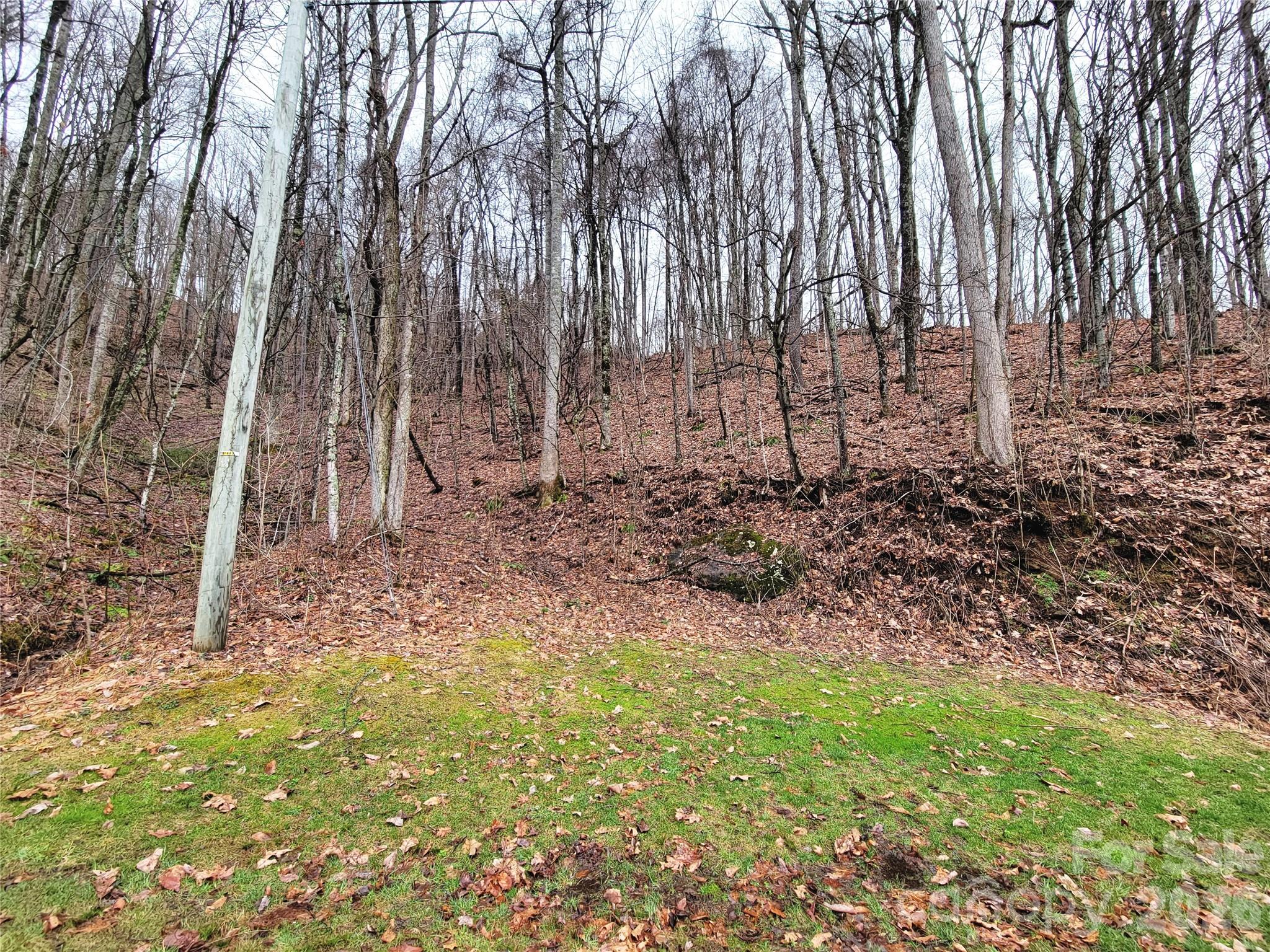 820 Chestnut Flats Lane Waynesville NC 28786