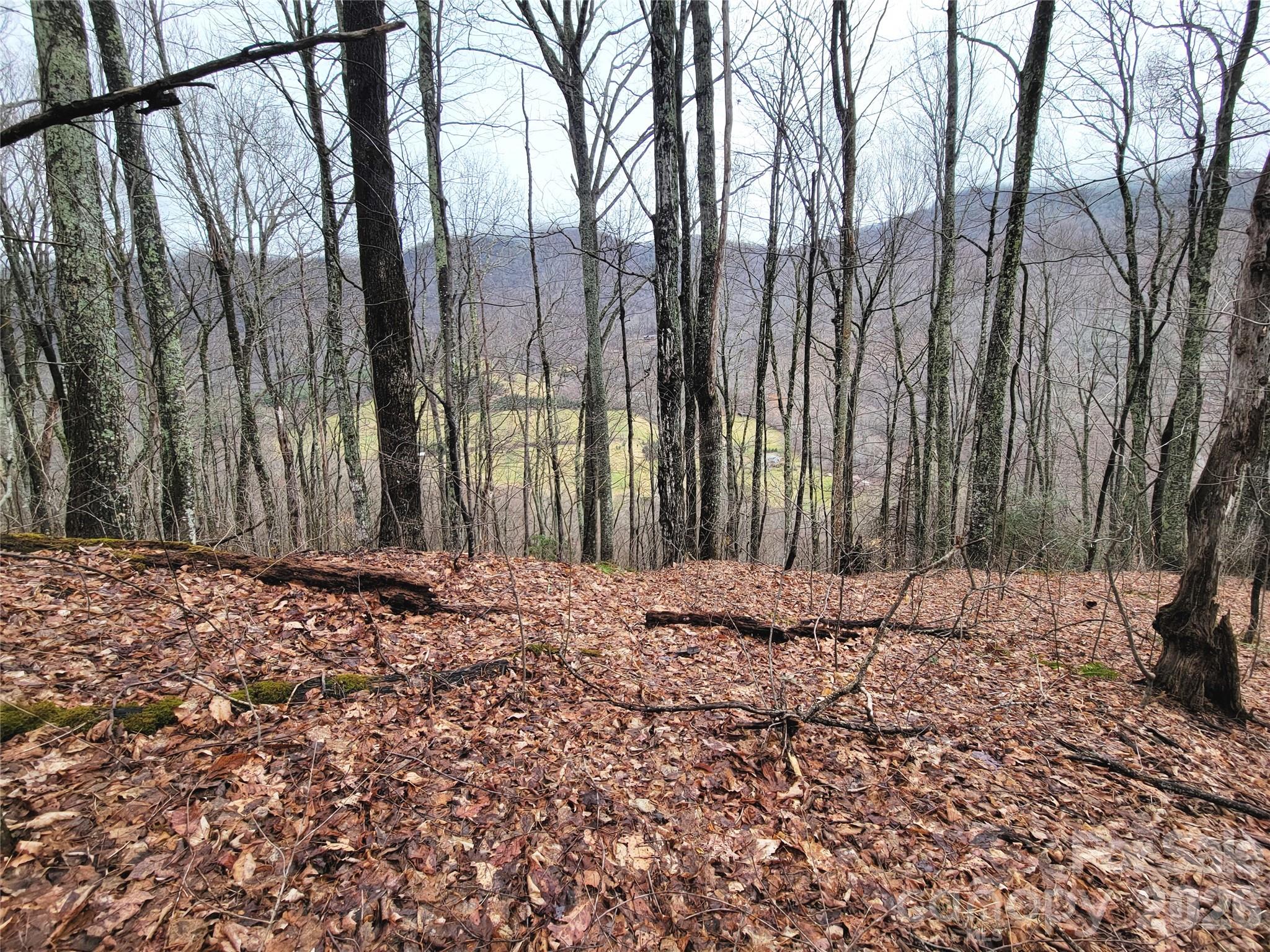 820 Chestnut Flats Lane Waynesville NC 28786