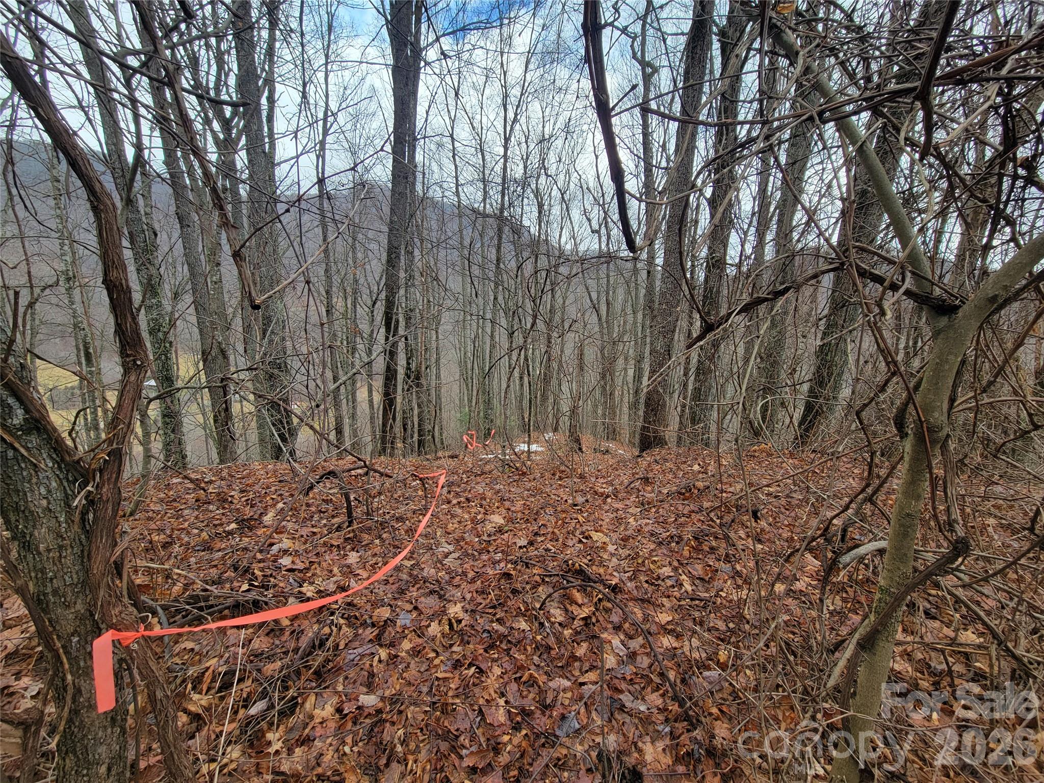 820 Chestnut Flats Lane Waynesville NC 28786