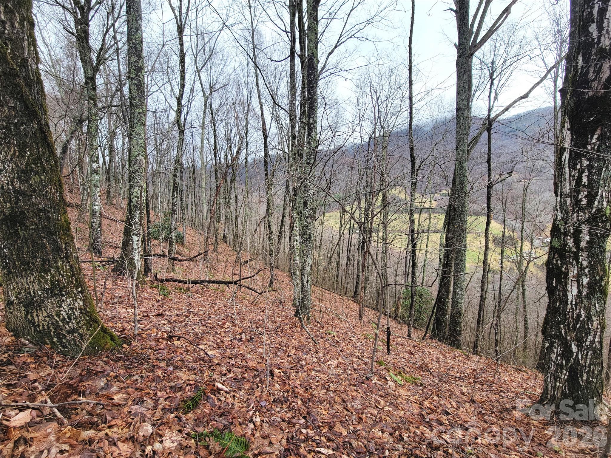 820 Chestnut Flats Lane Waynesville NC 28786
