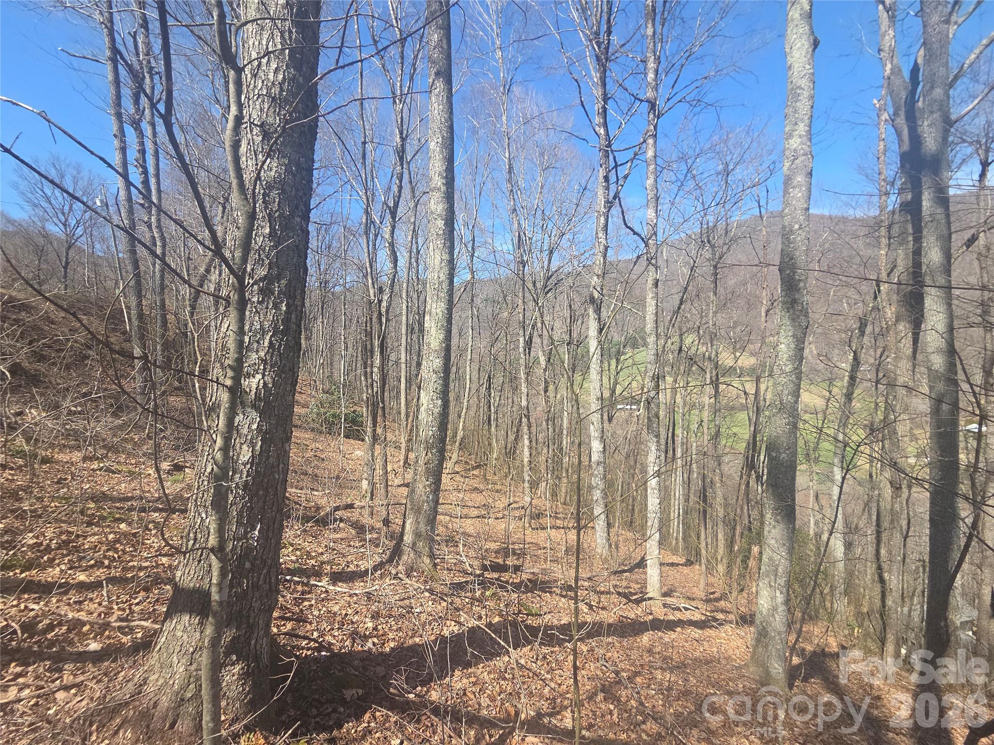 820 Chestnut Flats Lane Waynesville NC 28786