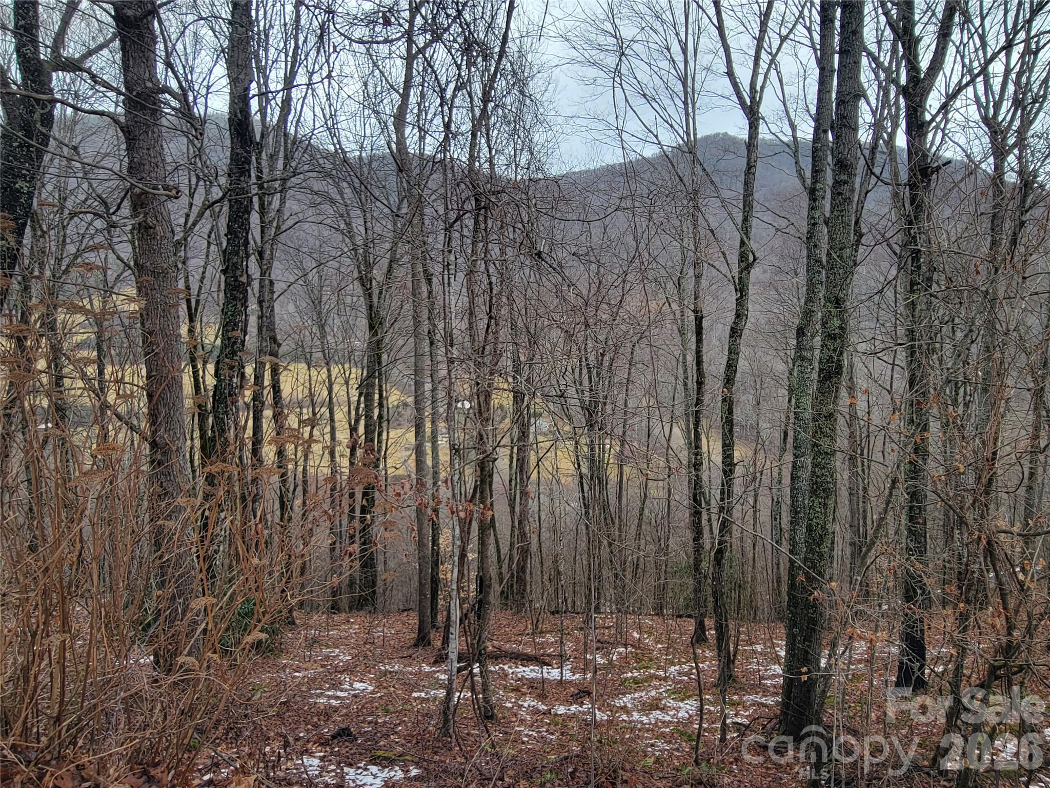 820 Chestnut Flats Lane Waynesville NC 28786