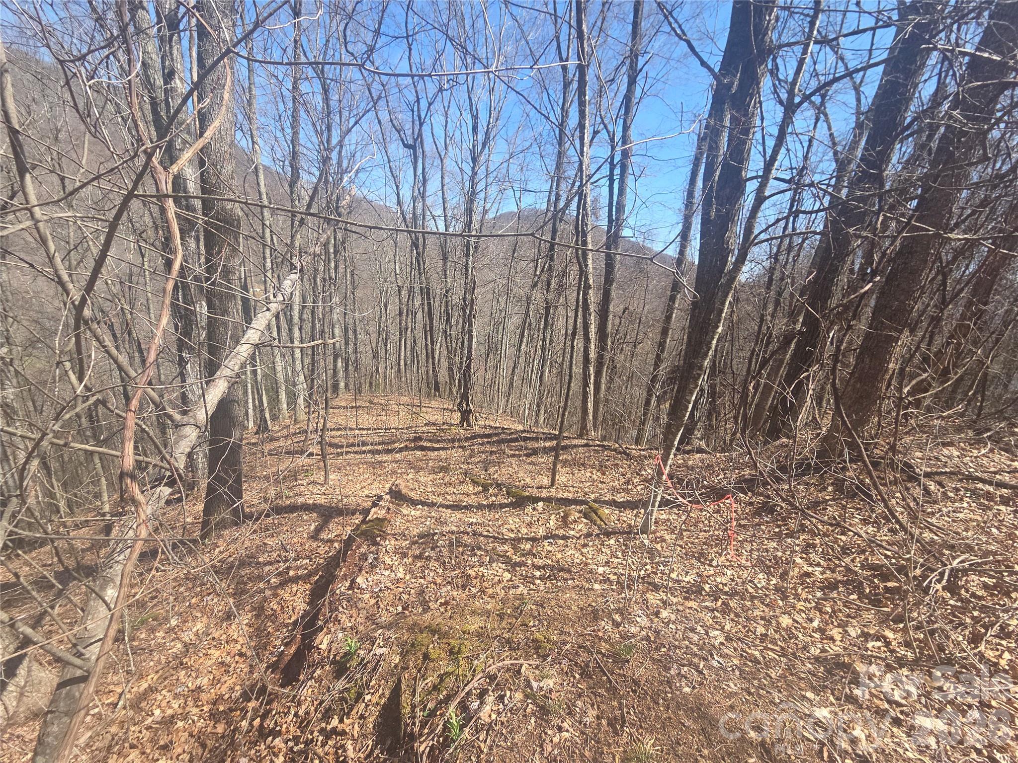 820 Chestnut Flats Lane Waynesville NC 28786