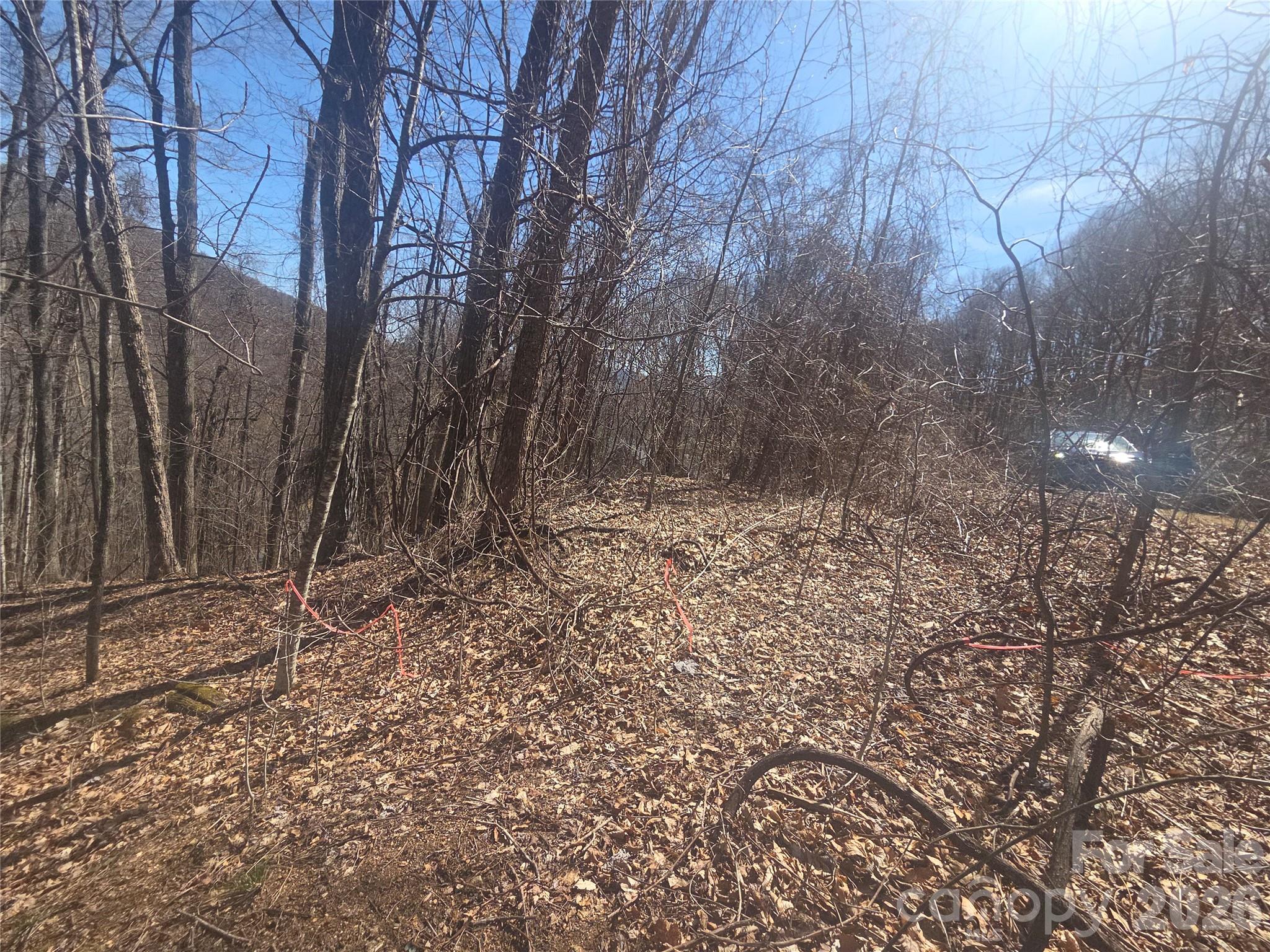 820 Chestnut Flats Lane Waynesville NC 28786