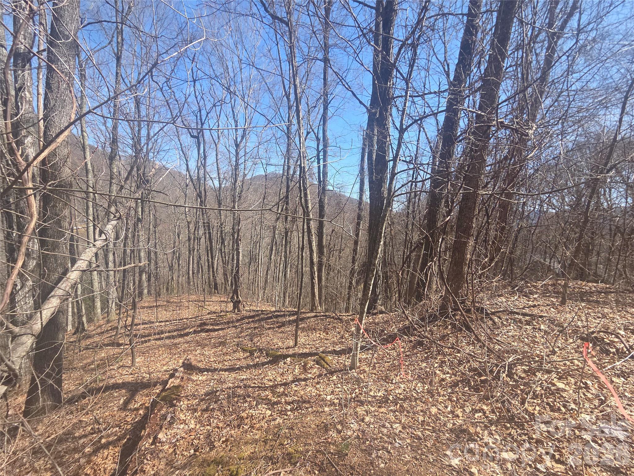 820 Chestnut Flats Lane Waynesville NC 28786