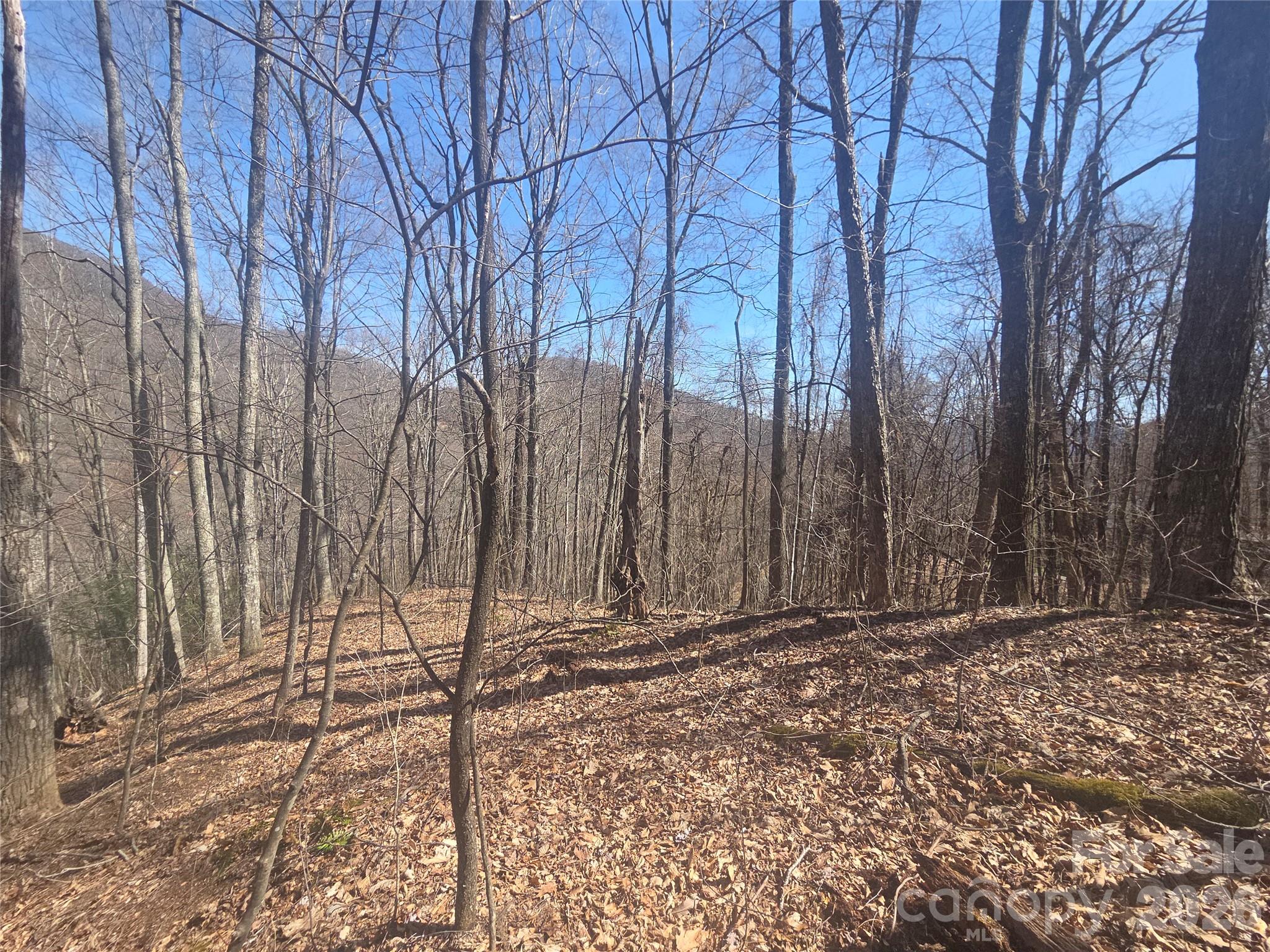820 Chestnut Flats Lane Waynesville NC 28786