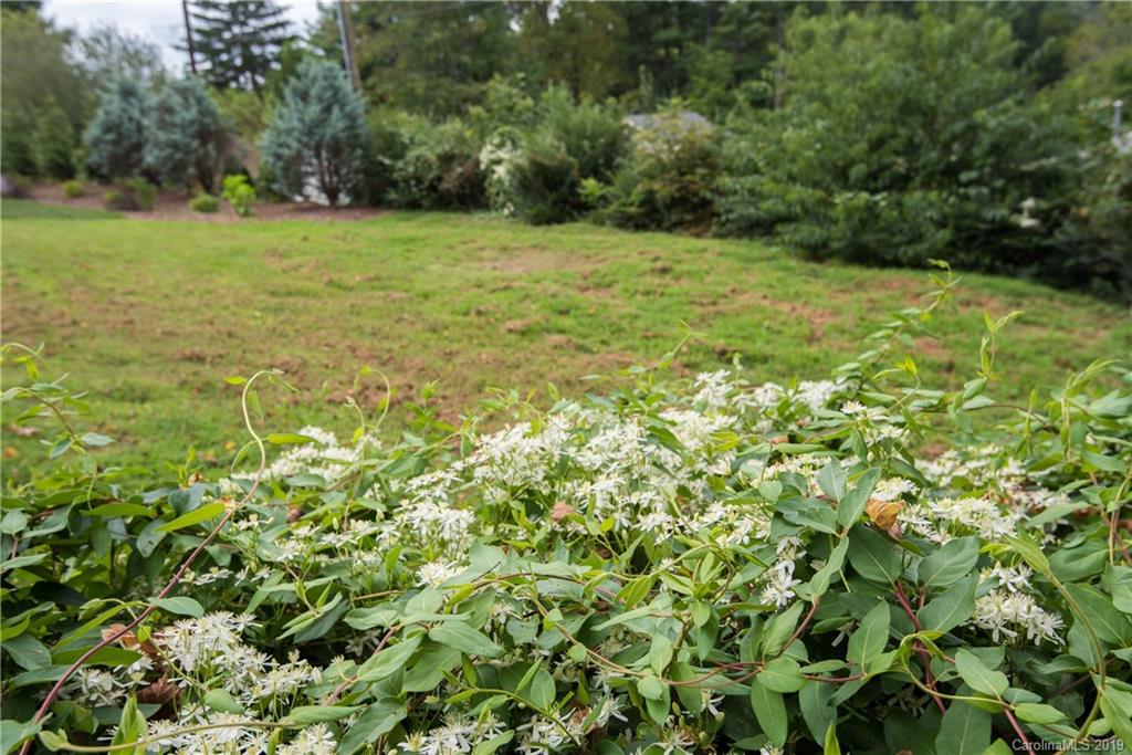 41 Ramoth Road Asheville NC 28804