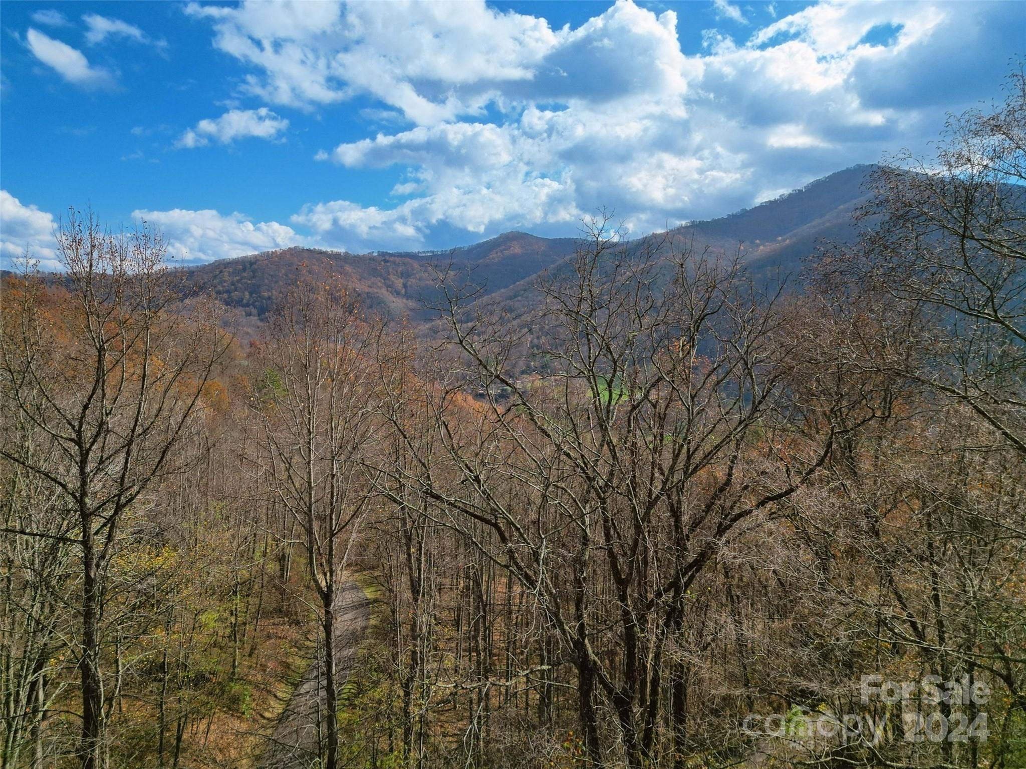 00 Scarlet Maple Lane Maggie Valley NC 28751