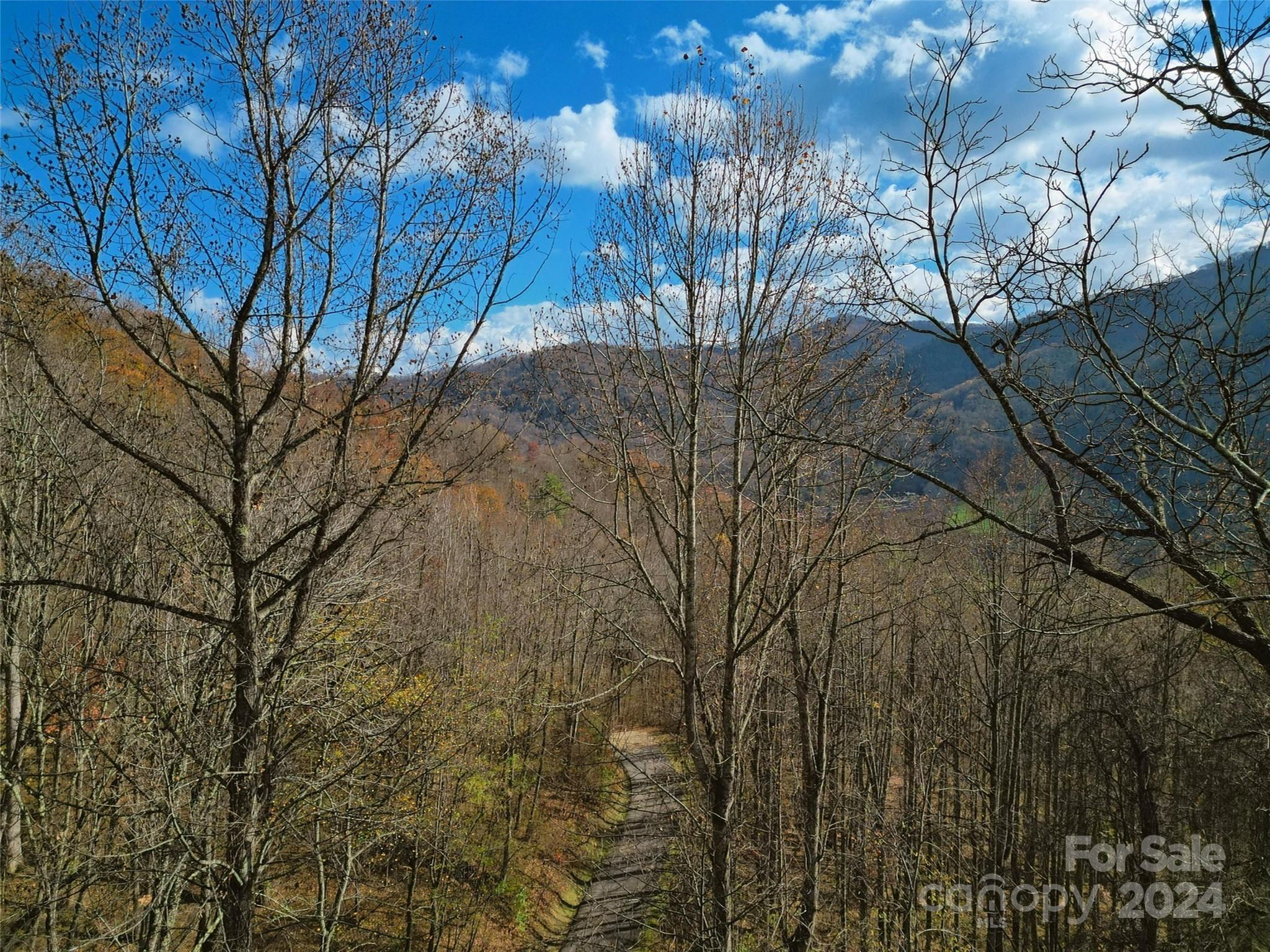 00 Scarlet Maple Lane Maggie Valley NC 28751