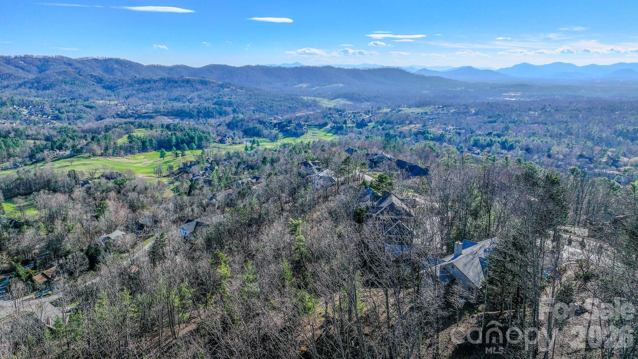 99999 High Bluff Drive Weaverville NC 28787