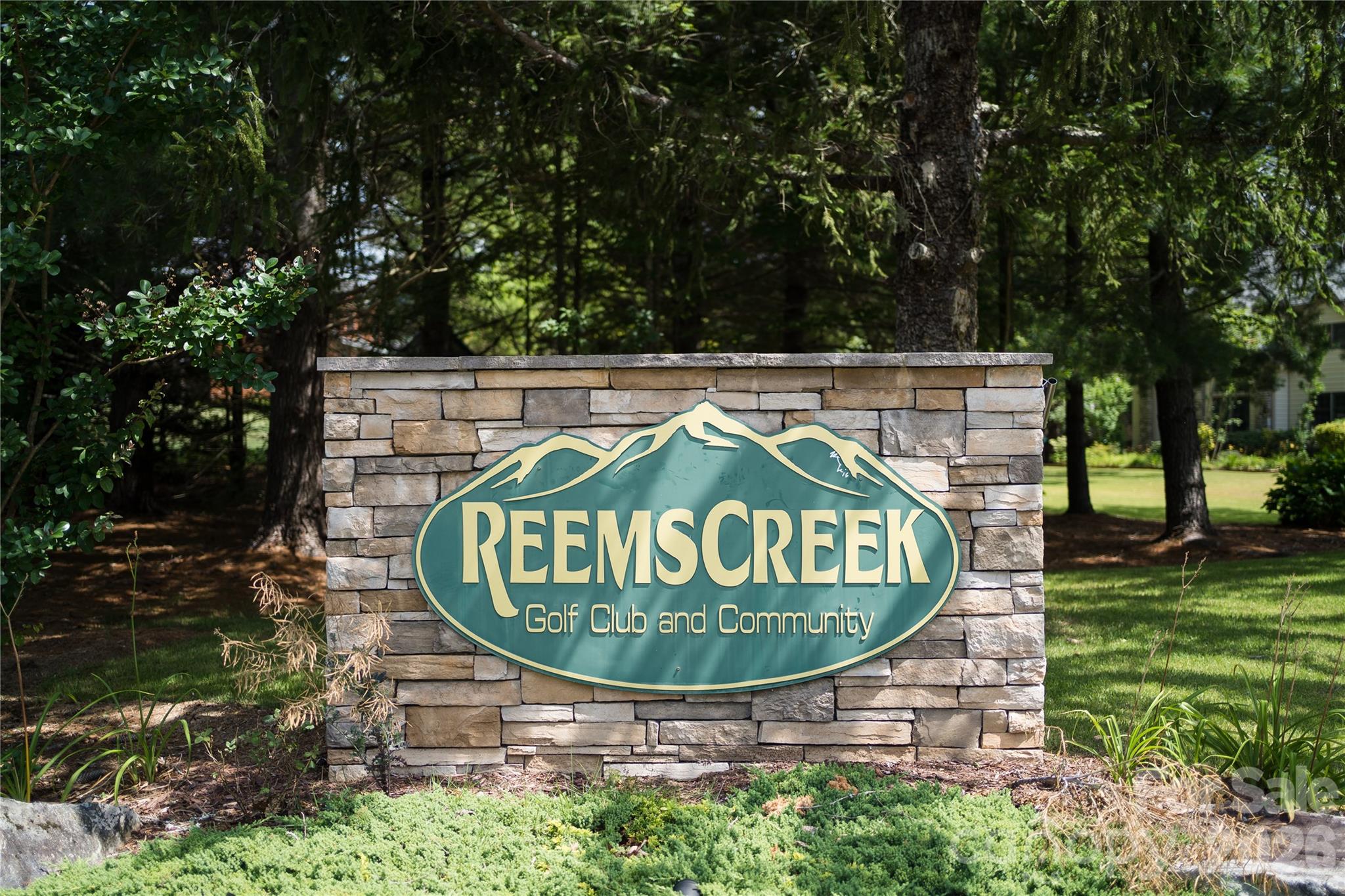 99999 High Bluff Drive Weaverville NC 28787