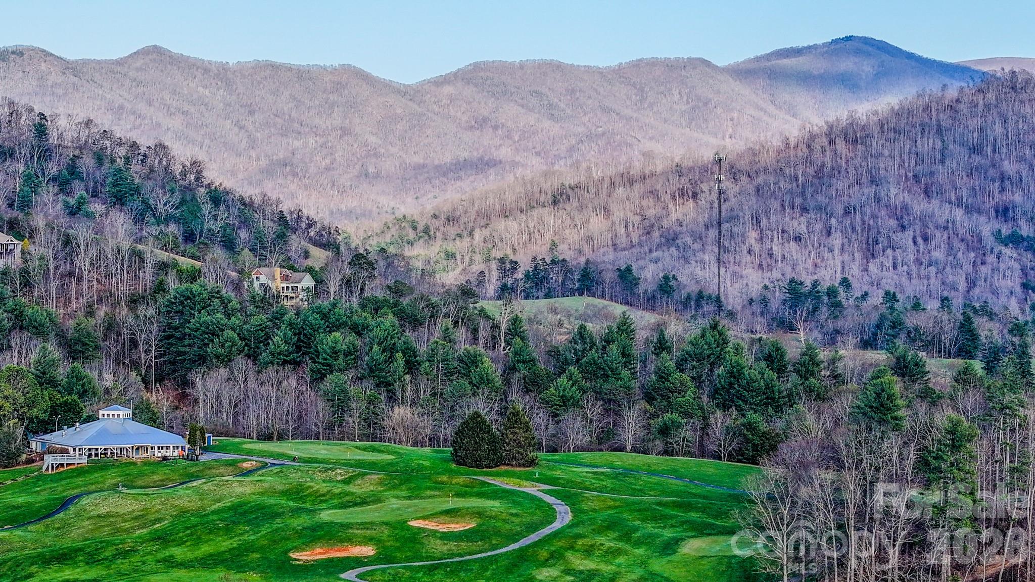 99999 High Bluff Drive Weaverville NC 28787