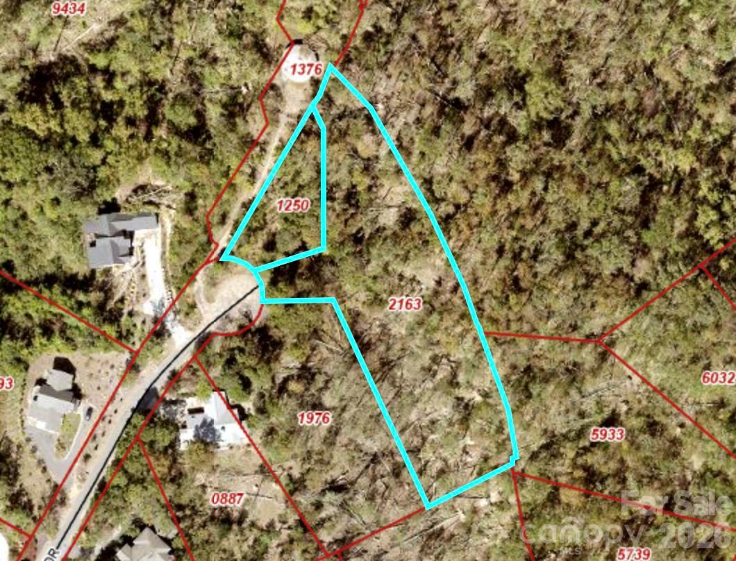 99999 High Bluff Drive Weaverville NC 28787