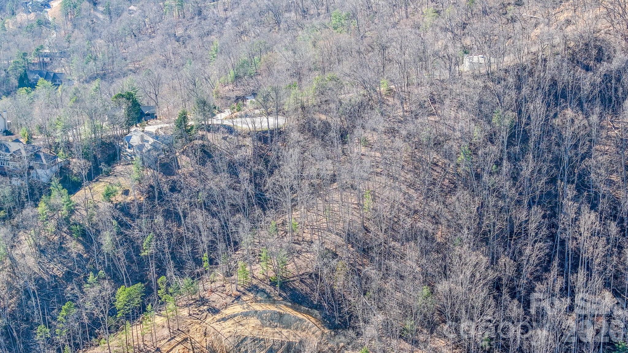 99999 High Bluff Drive Weaverville NC 28787