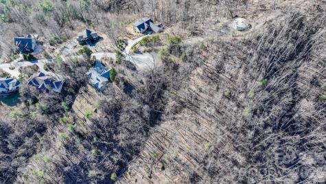 99999 High Bluff Drive Weaverville NC 28787
