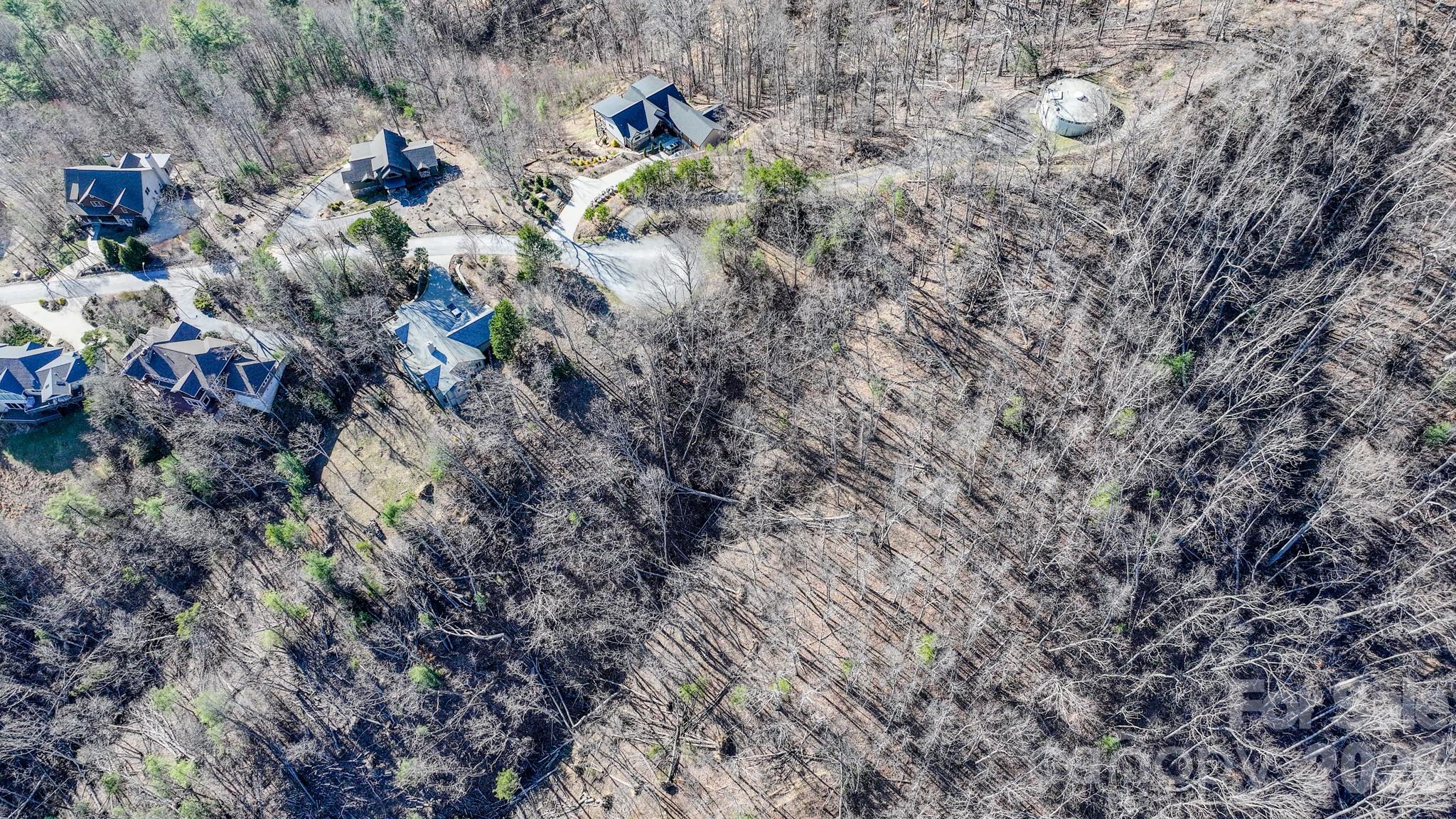 99999 High Bluff Drive Weaverville NC 28787