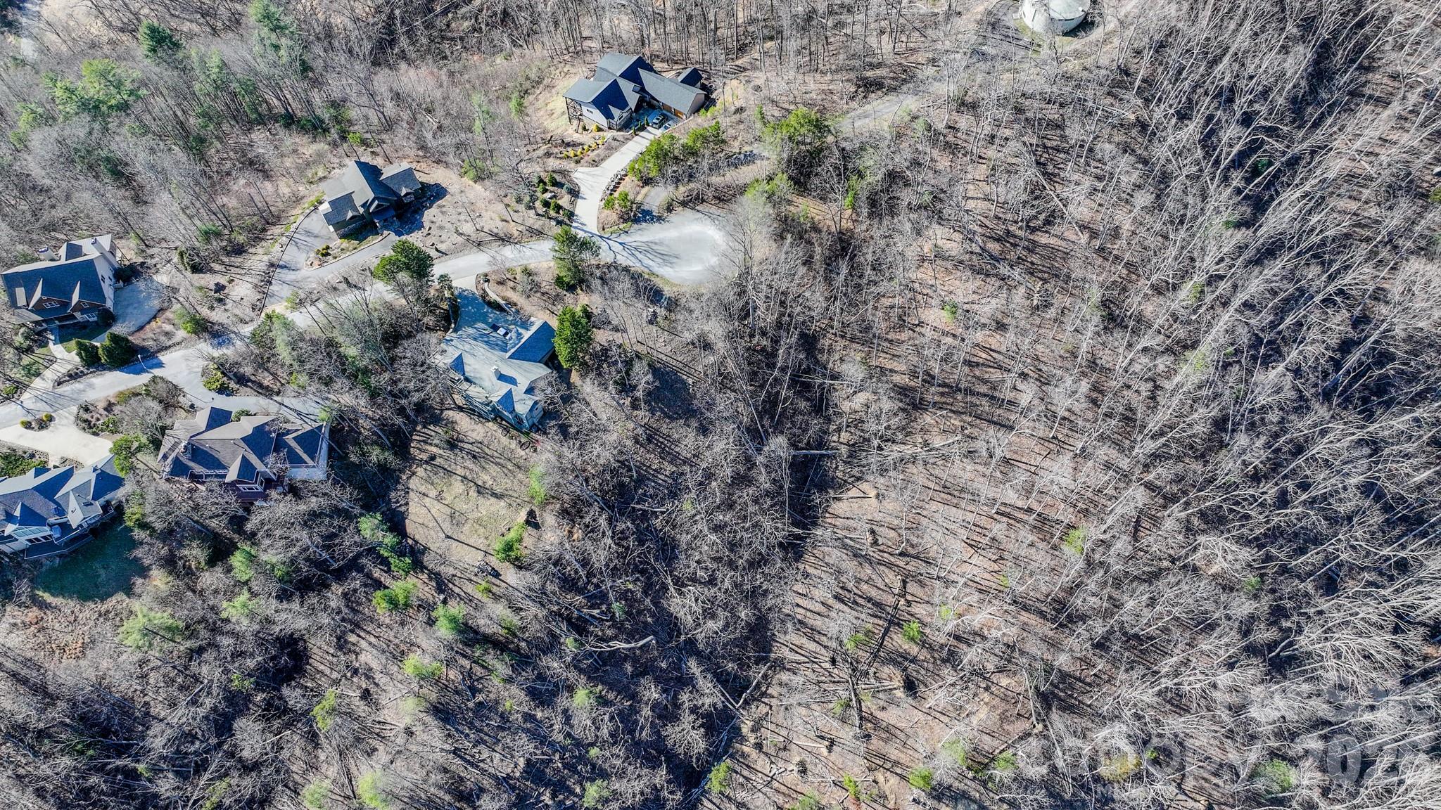 99999 High Bluff Drive Weaverville NC 28787