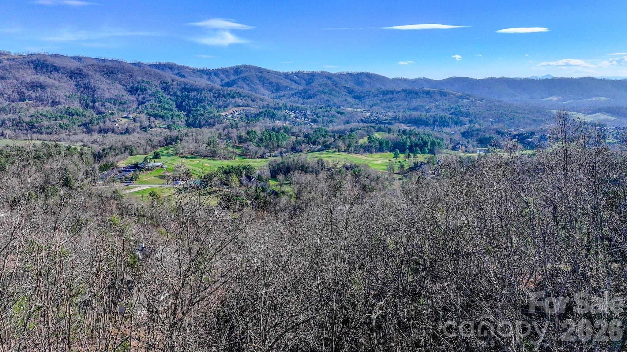99999 High Bluff Drive Weaverville NC 28787