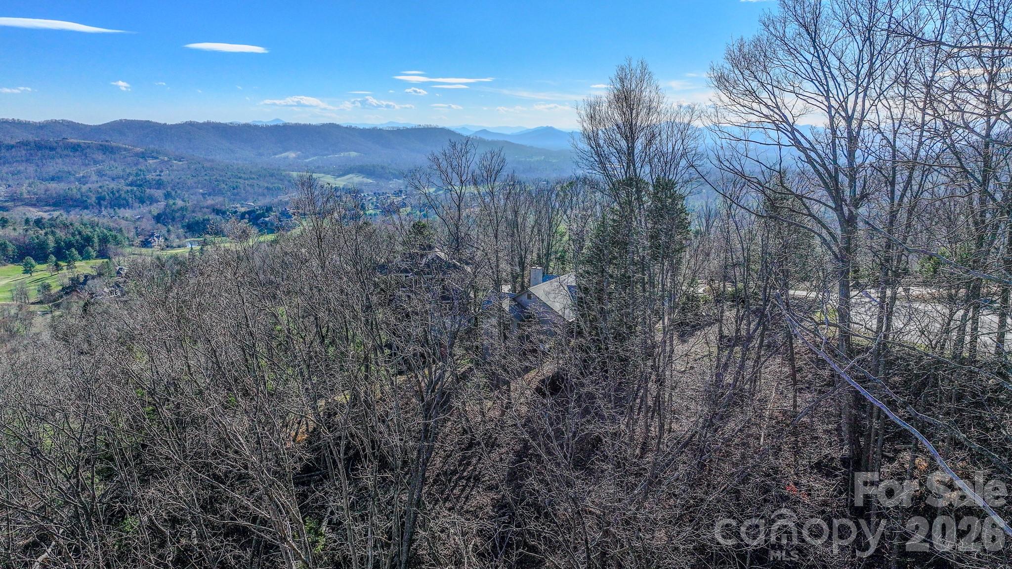 99999 High Bluff Drive Weaverville NC 28787