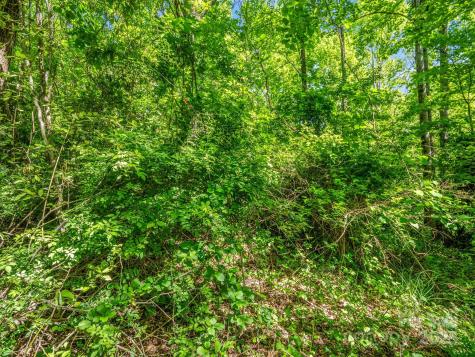 00000 Hamilton Acres Drive Hendersonville NC 28791