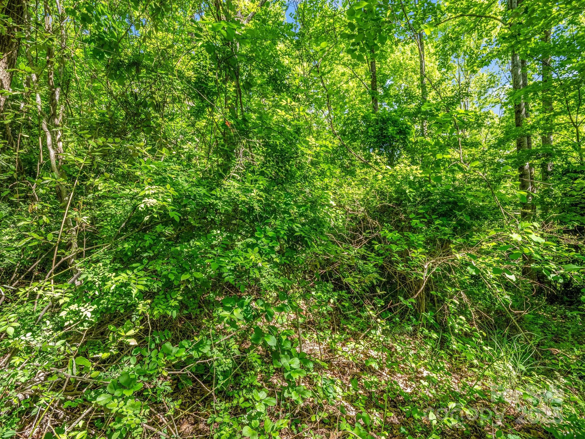 00000 Hamilton Acres Drive Hendersonville NC 28791