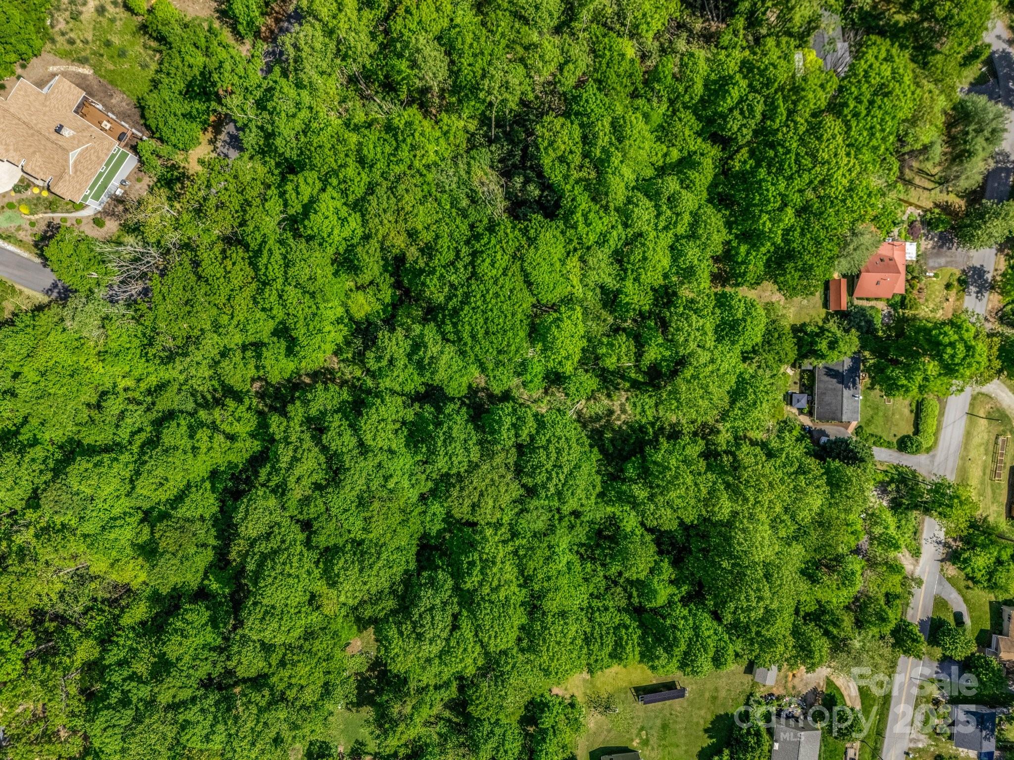 00000 Hamilton Acres Drive Hendersonville NC 28791