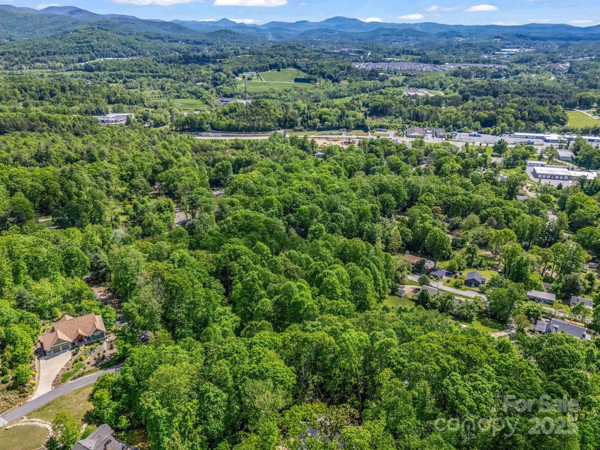 00000 Hamilton Acres Drive Hendersonville NC 28791