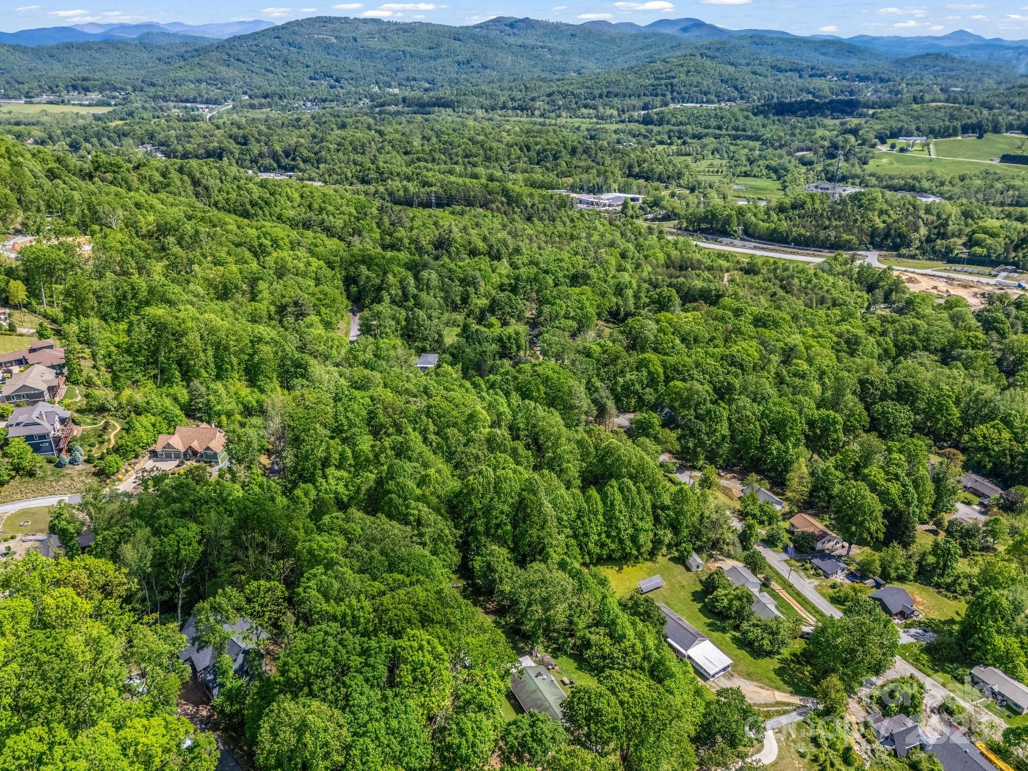 00000 Hamilton Acres Drive Hendersonville NC 28791