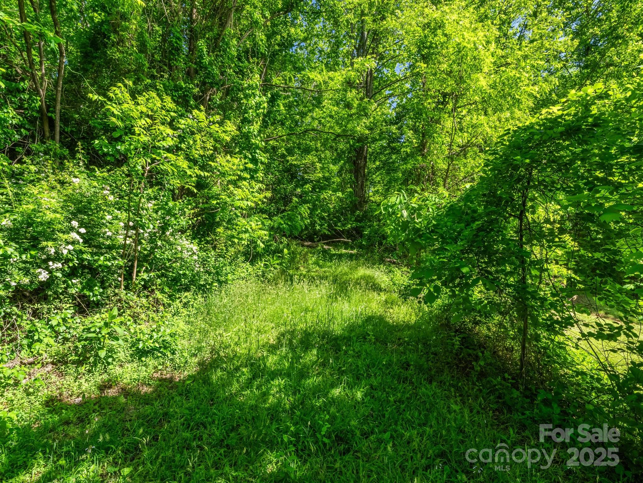 00000 Hamilton Acres Drive Hendersonville NC 28791