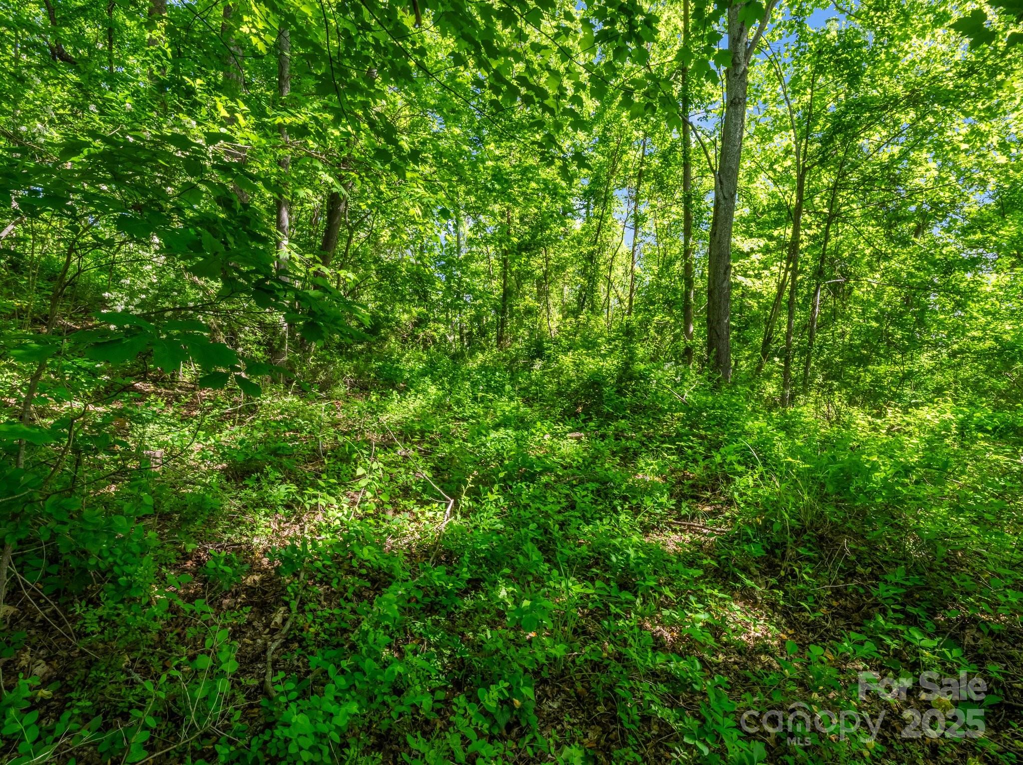 00000 Hamilton Acres Drive Hendersonville NC 28791