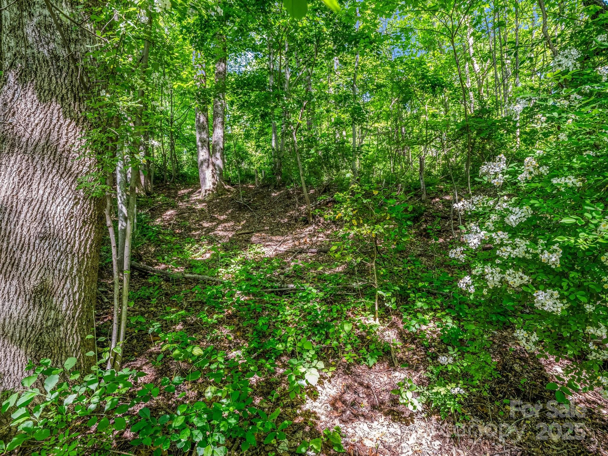 00000 Hamilton Acres Drive Hendersonville NC 28791