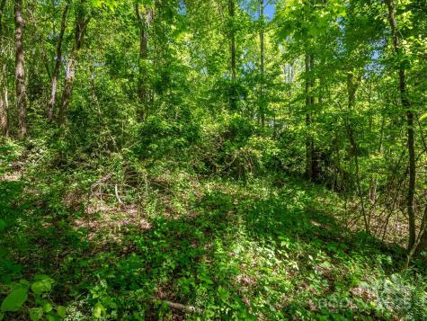 00000 Hamilton Acres Drive Hendersonville NC 28791