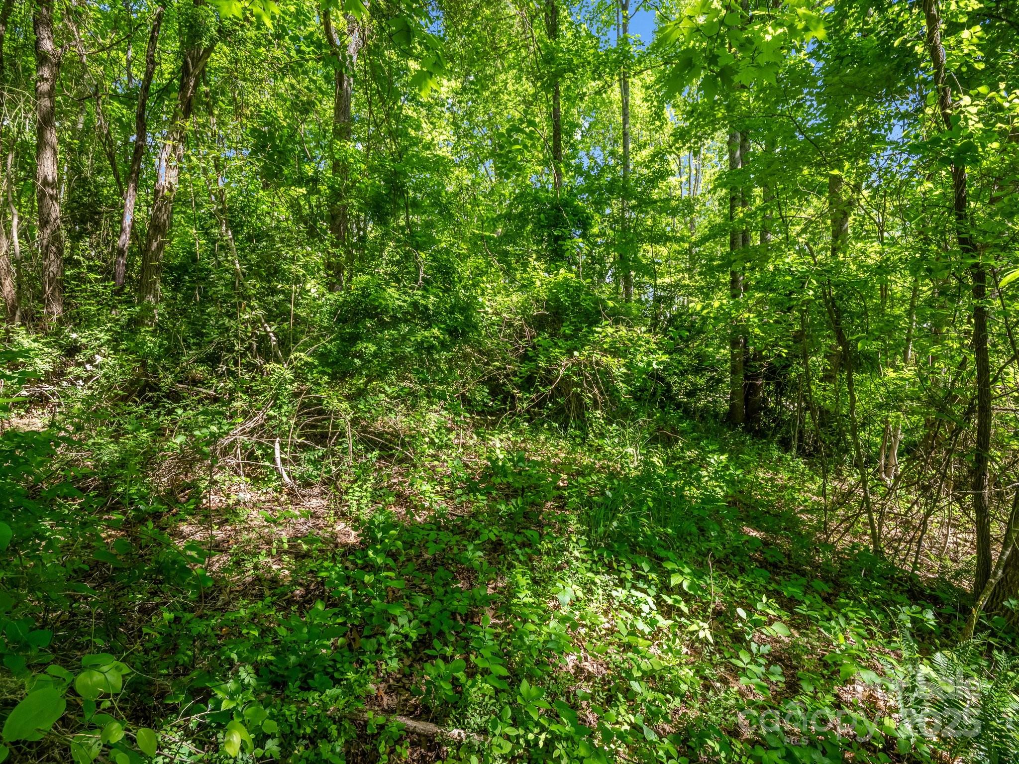 00000 Hamilton Acres Drive Hendersonville NC 28791