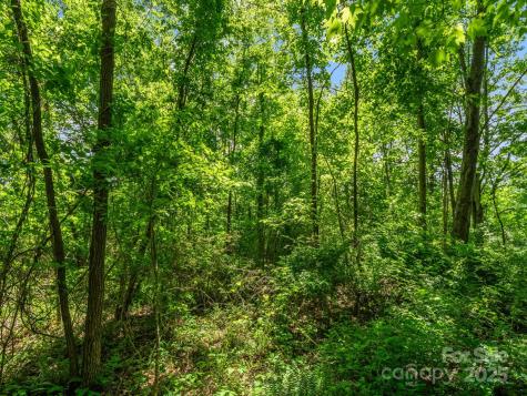 00000 Hamilton Acres Drive Hendersonville NC 28791
