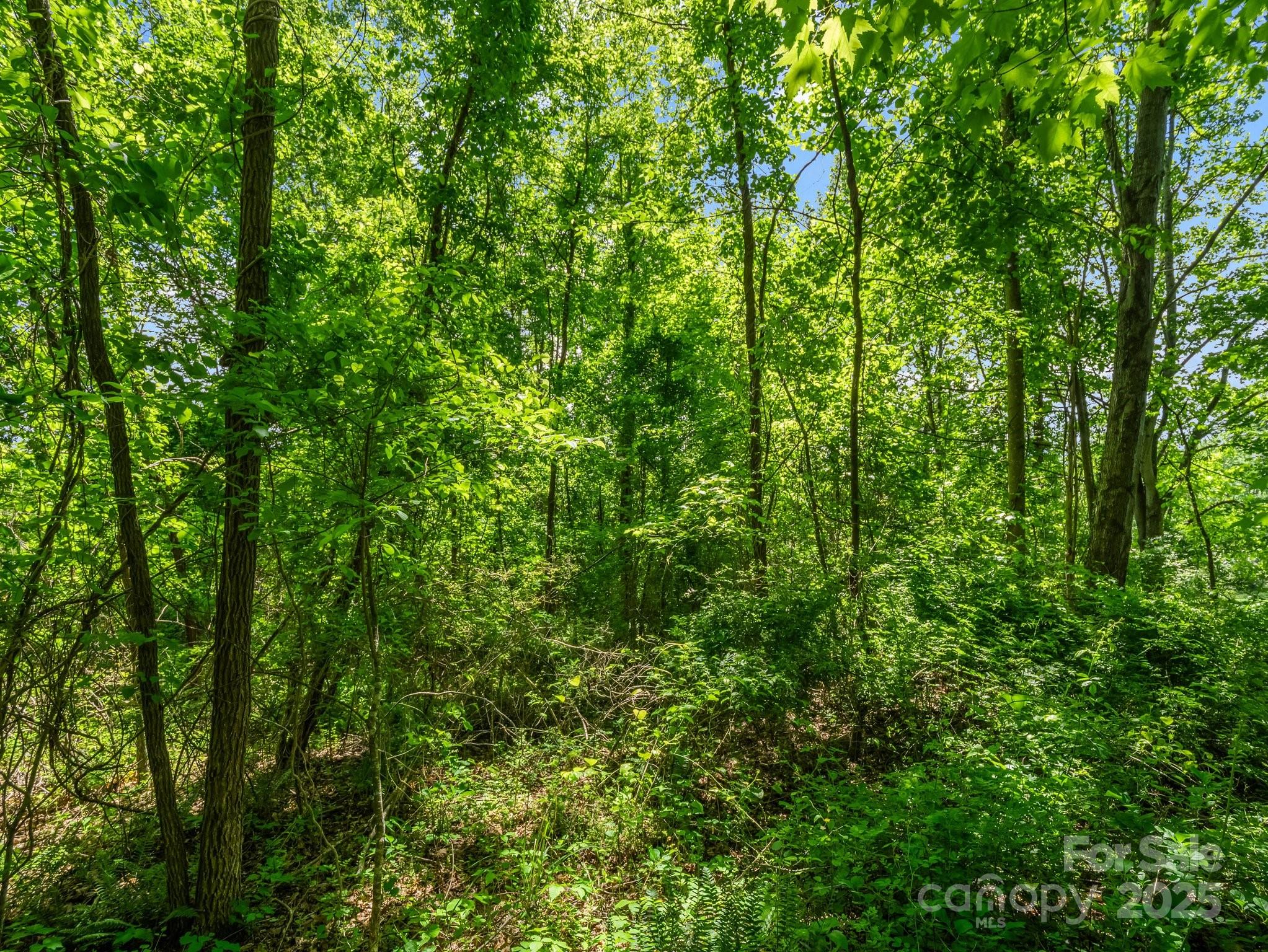00000 Hamilton Acres Drive Hendersonville NC 28791