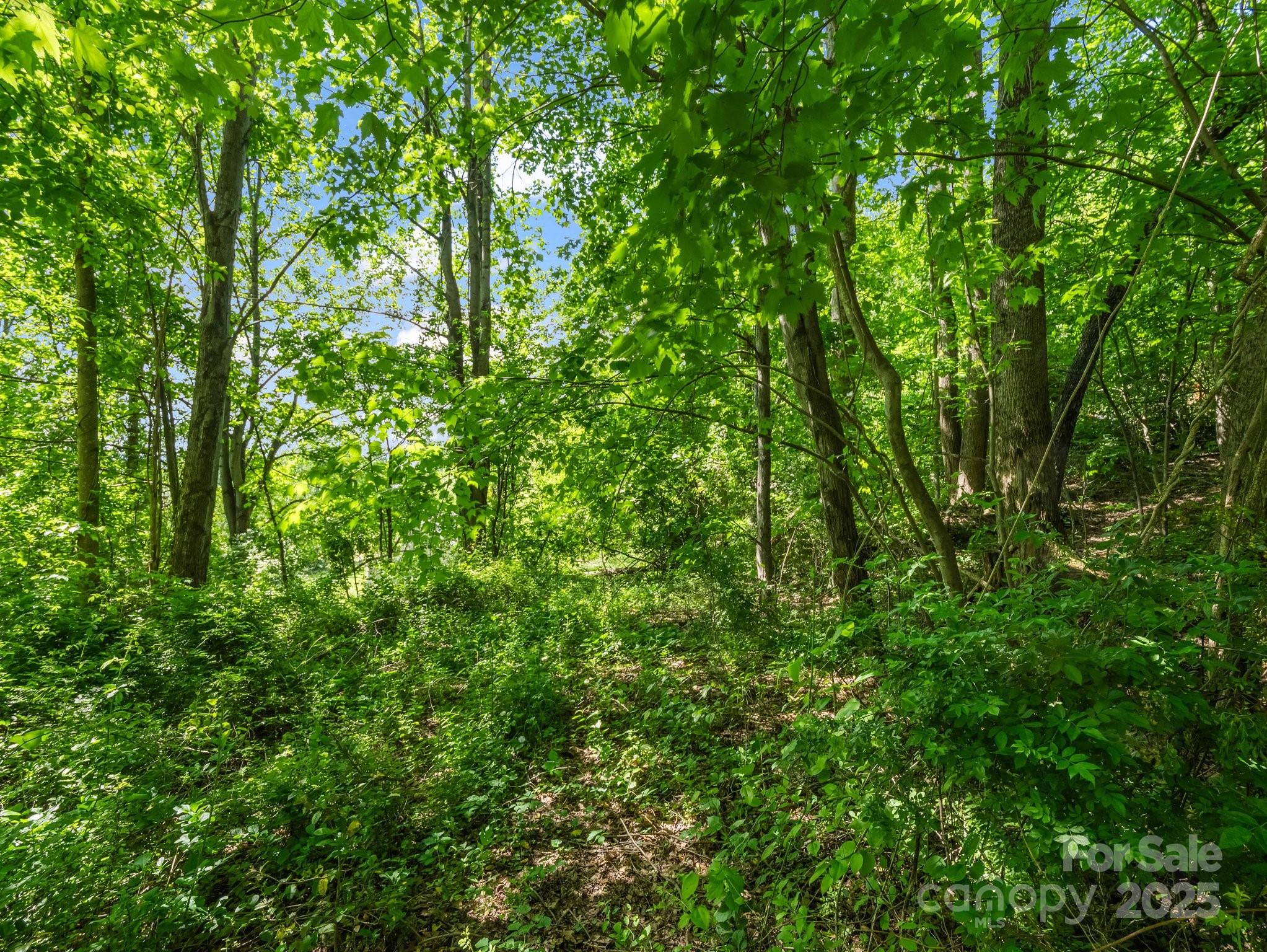 00000 Hamilton Acres Drive Hendersonville NC 28791