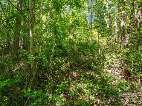 00000 Hamilton Acres Drive Hendersonville NC 28791