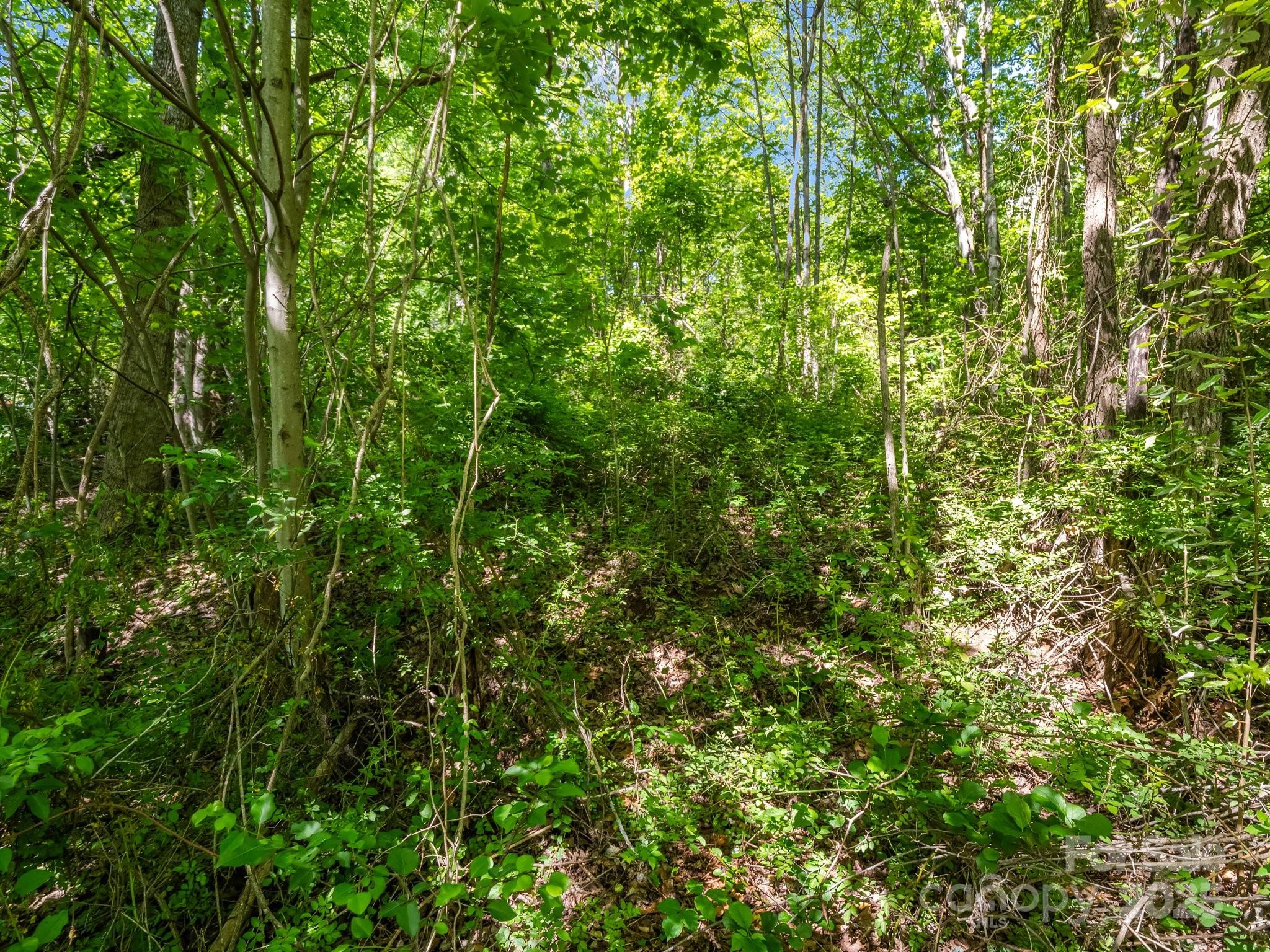 00000 Hamilton Acres Drive Hendersonville NC 28791