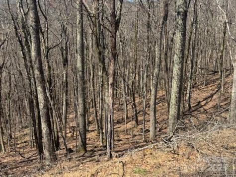 261 Grouse Thicket Lane Mars Hill NC 28754