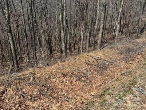 261 Grouse Thicket Lane Mars Hill NC 28754